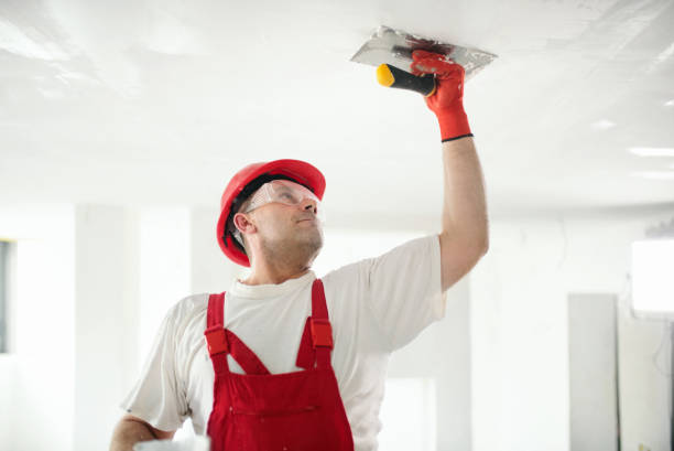 Best Repainting for Renovations  in Manche North Shore, CA